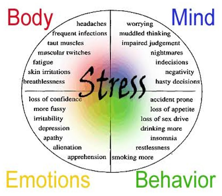 Stress Diagram